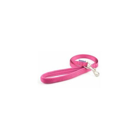 Ancol Nylon Lead Raspberry - 1.2x1 - 124465