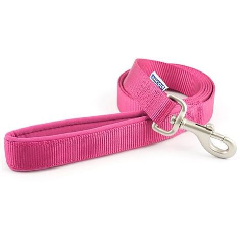 Ancol Nylon Lead Raspberry - 2.5x1 - 124476