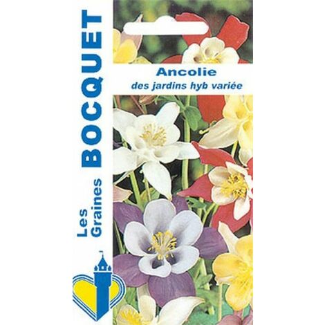 Ancolie des jardins variée - 0,4g