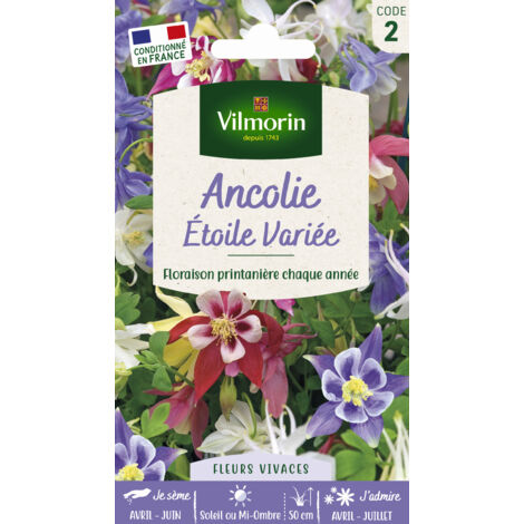 Ancolie Étoile Variée Vilmorin