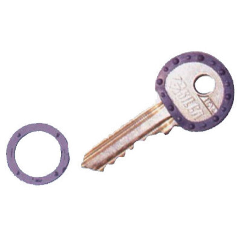 Anelli Segnachiavi copritesta per chiavi 200pz in colori assortiti