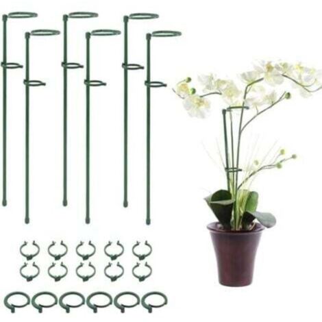 50 Bastoncini Di Supporto Per Piante, 40 Cm, Verdi, Per Giardino, Pomodori E Composizioni Floreali - 4