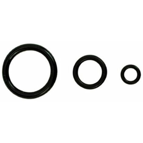 ANELLI O' RING 6.4 x 1.9 mm (Pz.100)