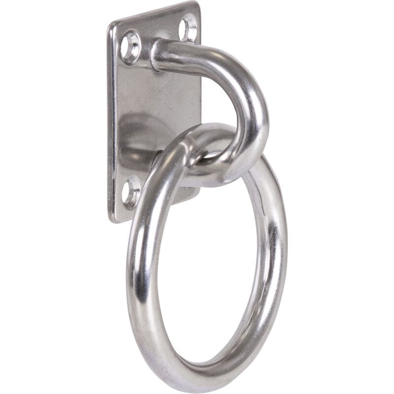 Dulimex - anello curie su placca 50MM