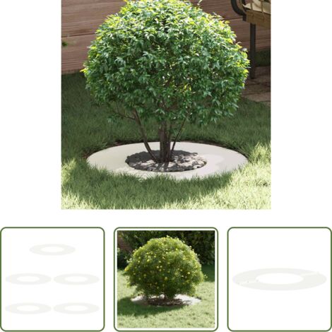 Anello decorativo -  adatto per Anelli d'Albero Piatto 5 pcs Bianco Ø30 / 60 cm