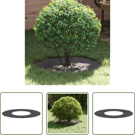 Anello decorativo -  adatto per Anello d'Albero Piatto Nero Ø30 / 60 cm Acciaio