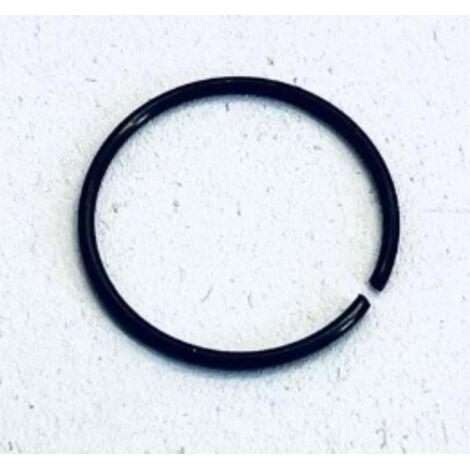 Anello elastico 17,2X1 ORIGINALE GOLDONI 00018134 06240108