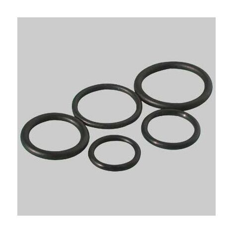 ANELLO O-RING 19,80 x 3,60