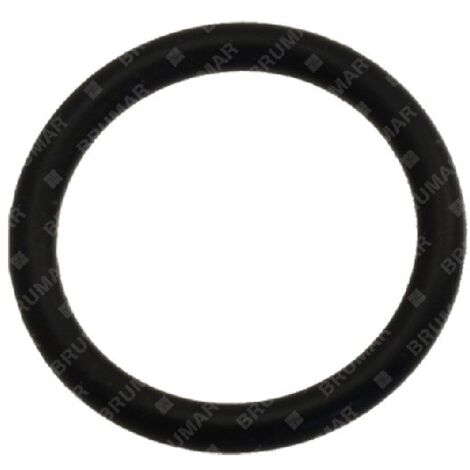 Anello OR per pompe BERTOLINI COMPATIBILE - 026223