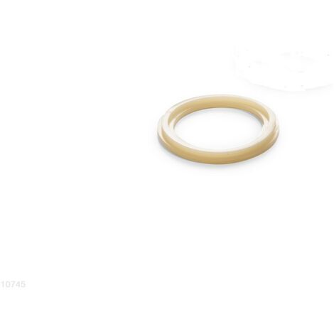 Anello Per Valvola Plunger 10745 INTEX