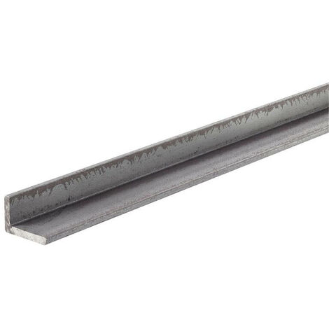 ANG. L FERRO MM.30X20X4 MT.1
