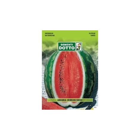 ANGURIA CRISMON SWEET