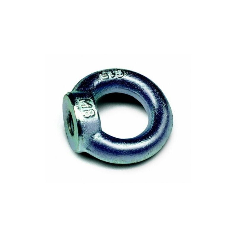 

Anilla Elevacion Hembra Zinc M 8 Din582
