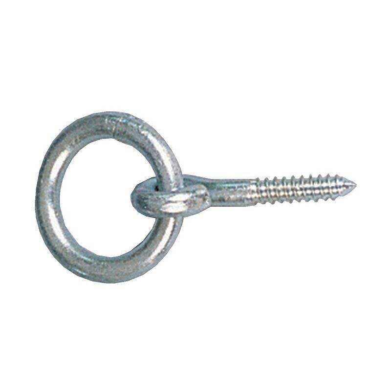 Anneau d'écurie à vis bois diamètre fil 12 mm longueur tige 60 mm Monin