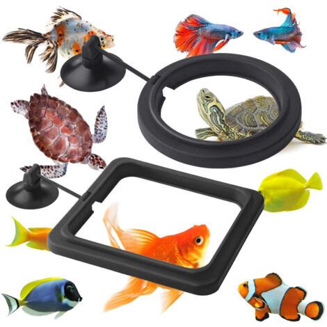 Anneau de Nourriture pour Poissons, 2 pièces Distributeur de Nourriture pour Poissons Aquarium réservoir Accessoires Tortue Distributeur de Nourriture Cercle pour Guppy, bettas (Noir)