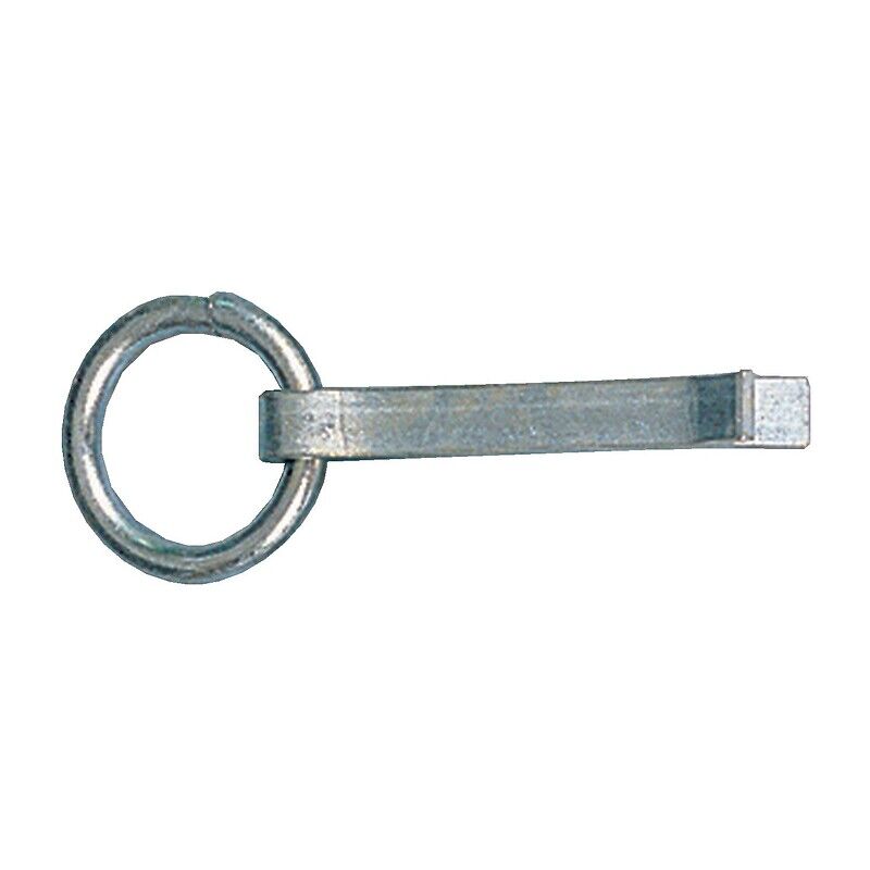 Anneau d'écurie à sceller acier zingué largeur patte 12 mm longueur 130 mm - MONIN