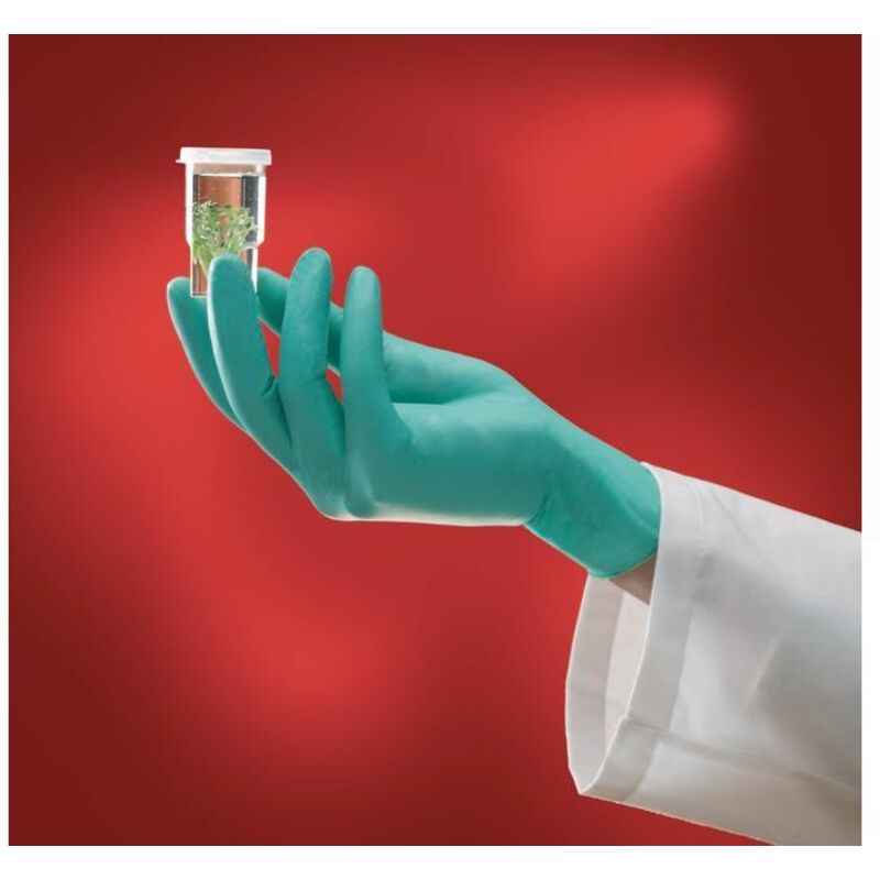 Einweghandschuhe Microflex NeoTouch® 25-101 Größe 9,5-10 hellgrün ( 4000371475 ) - Ansell