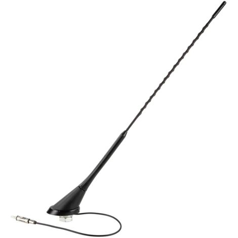 Antenne de toit AM FM inclinaison 56 DIN-m- passive