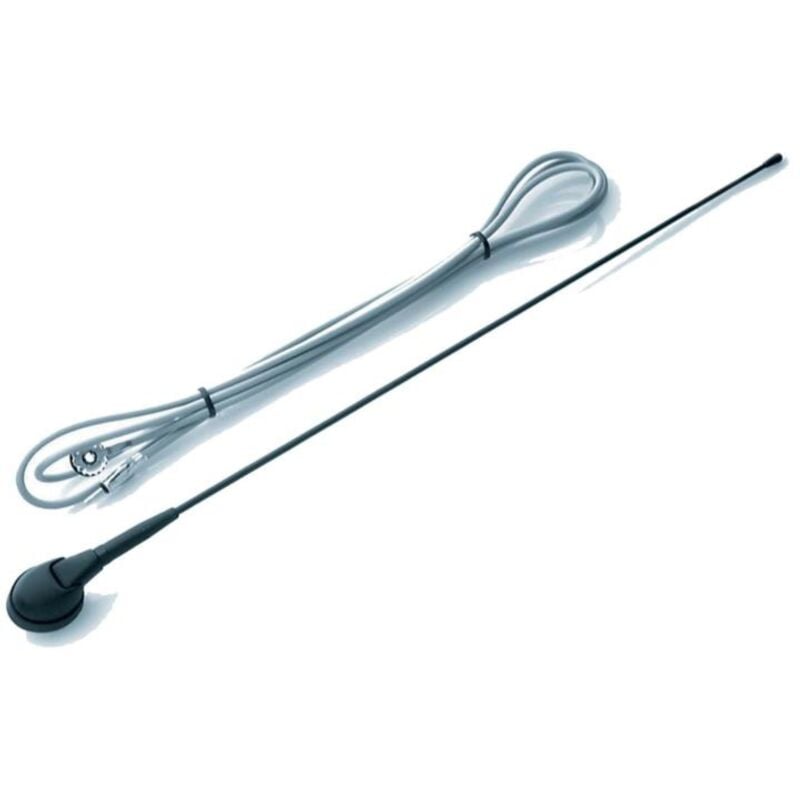 Antenne de toit AM FM universelle 41cm 0-90 Cable 2.45m