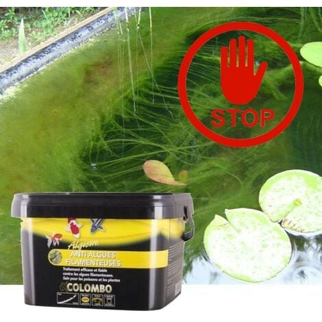 Anti-Algues Filamenteuses Bassin. Produit d'entretien 1000ml pour bassin de jardin et étangs