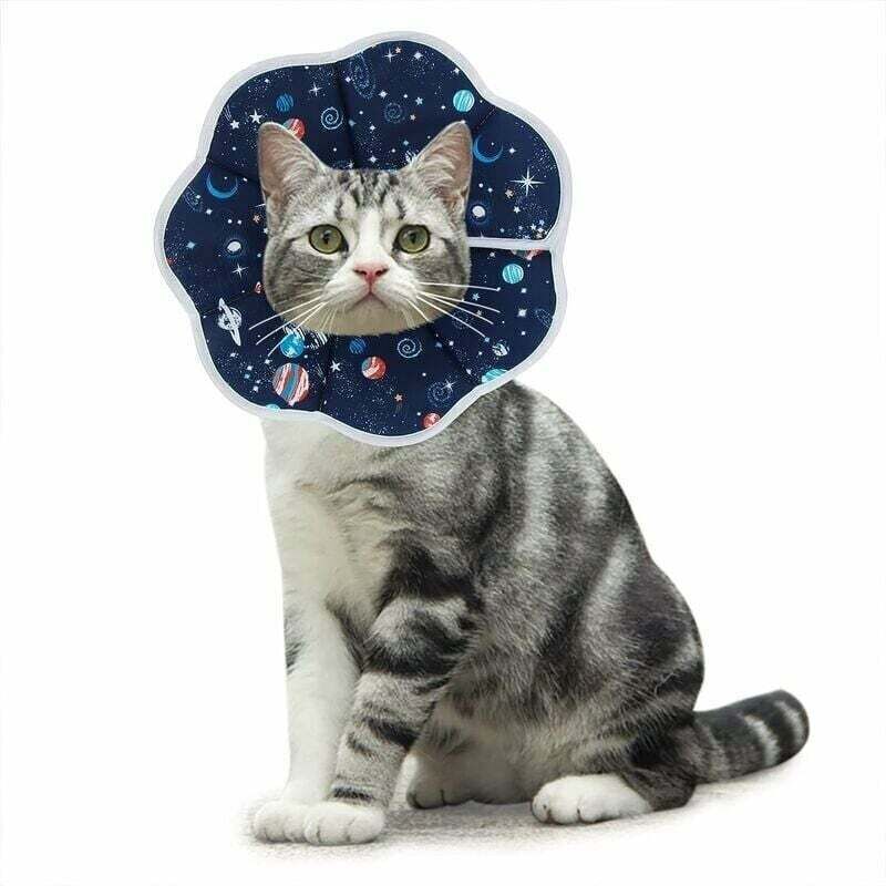 Anti-Bite Cat Collar, Adjustable Protection, Comfy Cone Recovery Collar for Cats and Puppies, Blue (M)