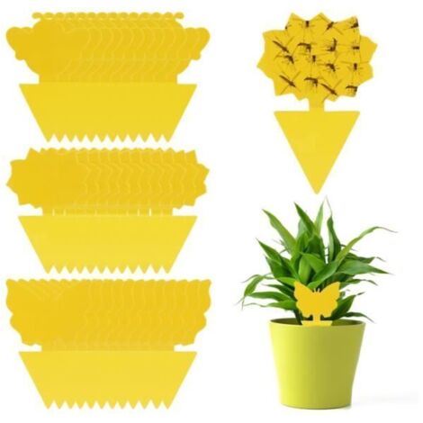 Anti Moucherons Plantes Intérieur, 60 Pièges à Insectes Jaunes Double Face pour la Protection des Plantes, Fleurs et Fruits