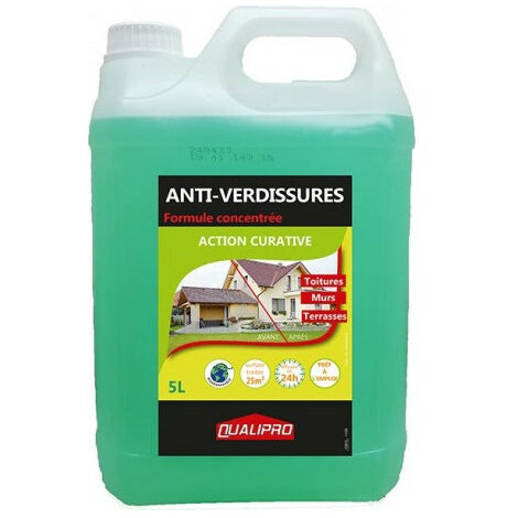 Anti-verdissures 20L pour toitures et façades – Fongicide contre mousses et lichens – Application facile avec pulvérisateur