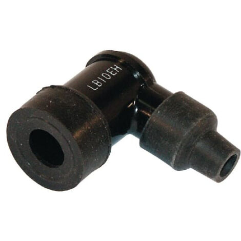 Antiparasite LB10EH NGK