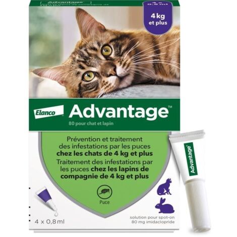 Antiparasiten Advantage Katze Hase +4 Kg 4 Stück 0,8 ml