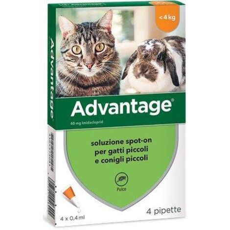 ANTIPARASSITARIO ADVANTAGE GATTI ELANCO - KG  0/4 CF=PZ 4- 1 confezioni
