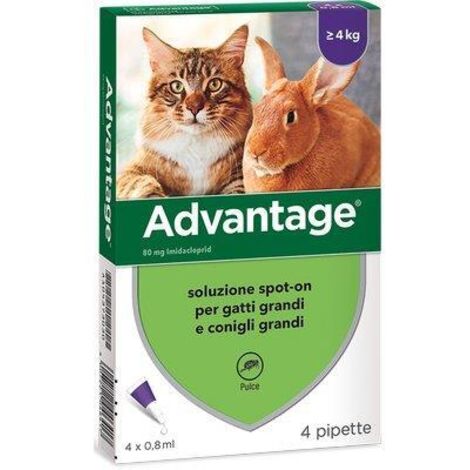 ANTIPARASSITARIO ADVANTAGE GATTI ELANCO - KG  4+ CF=PZ 4- 1 confezioni