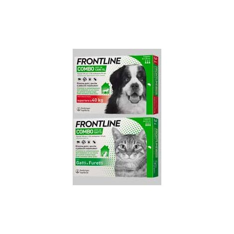 Antiparassitario combo frontline cani 2/10 kg - 1 pipette