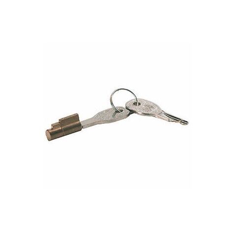 Antivol de tête d'attelage universel – Verrouillage par cylindre 6-7 mm – Sécurise attelage contre vol – Dimensions 22 x 11 mm – Winterhoff