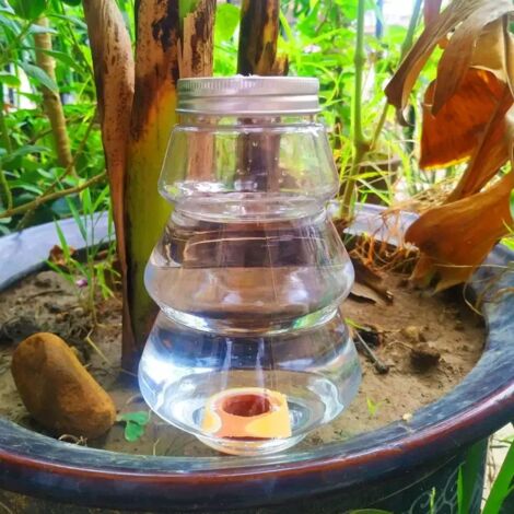 (Antler)1PC Arroseur automatique pour fleurs, système d'arrosage goutte à goutte pour plantes grasses, idéal pour les plantes paresseuses.