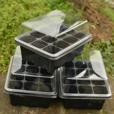 Anzuchtset für Bonsai-Sets mit 12 sauberen Fächern – 187 mm transparente Anzuchtschale