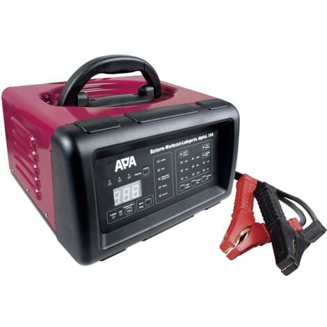 MSW S-CHARGER-20A.2 Caricabatterie per Auto Professionale Mantenitore di  Carica (12/24V, A 12-200 Ah, Display analogico, 230 V, 0,5 kW, per batterie  al Piombo Acido, Grigio) : : Auto e Moto