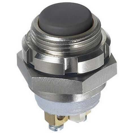 APEM IZMR3S41N IZMR3S41N Bouton-poussoir 250 V/AC, 48 V/DC 0.2 A 1 x Off/(On) à rappel IP67 1 pc(s)