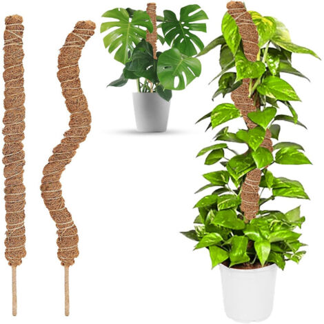 APEX 2PCS Tuteur Plante Pliable, 60 cm Long Plante Tuteur Coco Support pour Plante Grimpante, Grimpante Support pour Plante Monstera