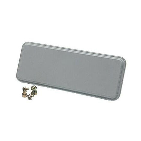 APO Plaque de fermeture pleine - Largeur 300mm RAL7035 4TBO856104C0100 ABB 856104