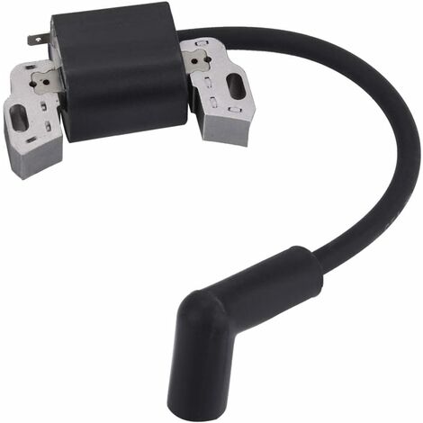 Bobine D'allumage Avec Bougie Pour Moteur Briggs & Stratton – Remplace Les Références 799582, 798534, 593872, 595009