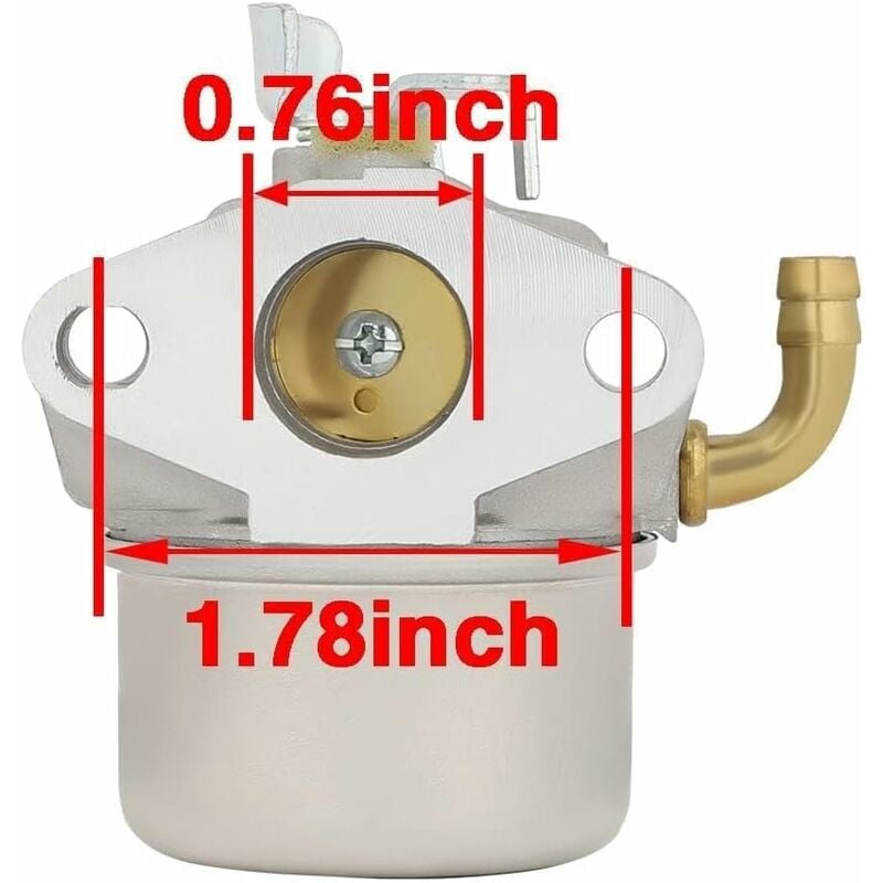 Applicable Briggs & Stratton 798653 693865 791077 790290 carburateur pour machine à gazon