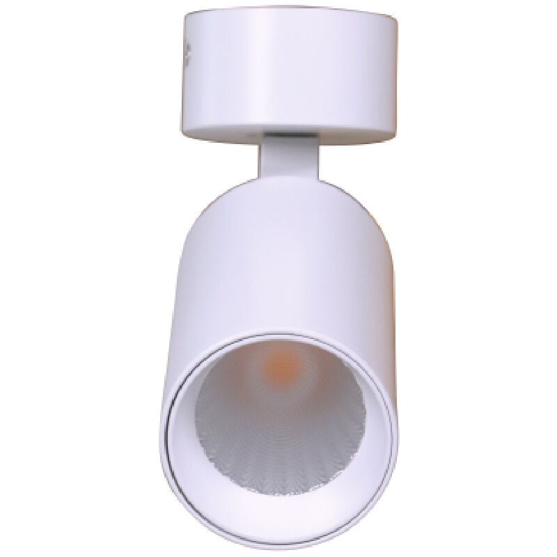 Ledkia - Applique led en Saillie 30W Aluminium Misoh (2700K - 4000K - 6000K) 38º Blanc cct