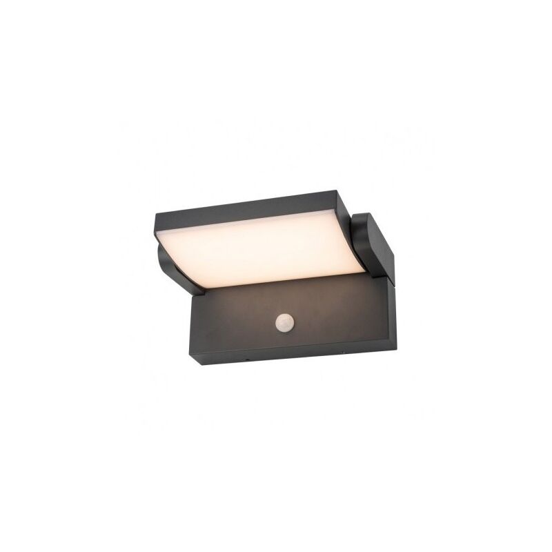 Applique Murale Orientable led 12W 720 lm DEtecteur 3000°K Gris IP54