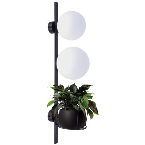 Applique PLANT 2 globes blancs E14/E27 Zuma Line 2x40W