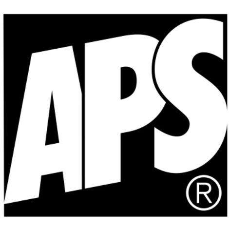 APS Obstkorb APS WIRE 31 x 14 cm (D. x H) Metall schwarz
