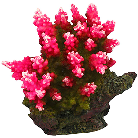 Impexit a Sfera delfino coralli in resina 6,4/4,5/4,5 cm