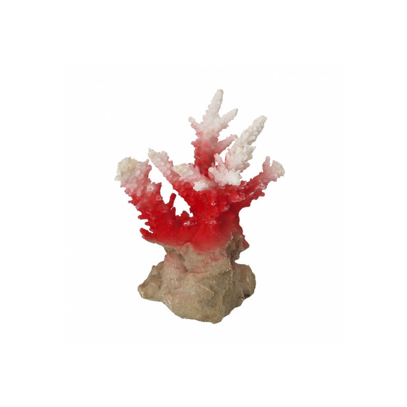 Aqua Della - Décoration pour aquarium corail Coraal Acropora Rouge/Blanc