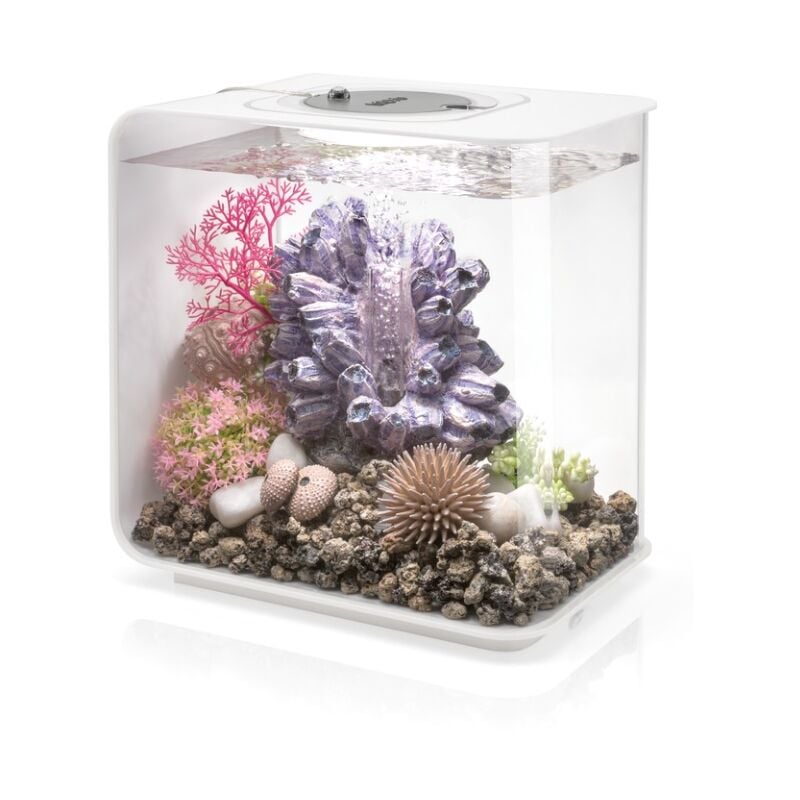 Oase - Aquarium 15l led blanc Flow 15 mcr white