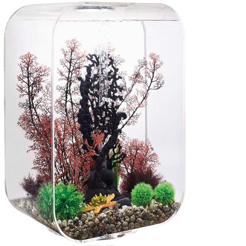 Aquarium 60l contours transparent Oase Life 60 mcr transparent