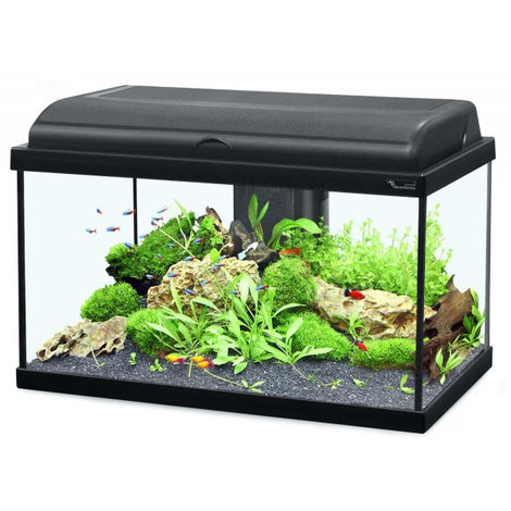 92+ Aquarium Design En Hauteur Gratis